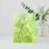 Raupe Postkarte malen (Stehend Vorderseite)