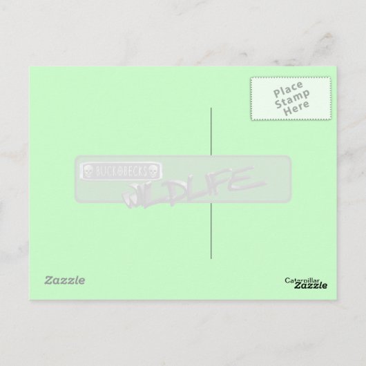 Raupe Postkarte. Postkarte (Rückseite)