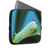 Raupe Prometheus Moth, Callosamia Laptopschutzhülle (Vorne Rechts)