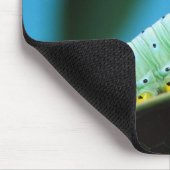 Raupe Prometheus Moth, Callosamia Mousepad (Ecke)