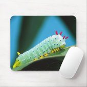 Raupe Prometheus Moth, Callosamia Mousepad (Mit Mouse)
