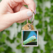 Raupe Prometheus Moth, Callosamia Schlüsselanhänger (Hand)