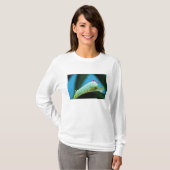 Raupe Prometheus Moth, Callosamia T-Shirt (Vorne ganz)