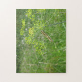 Raupe Puzzle (Vertikal)