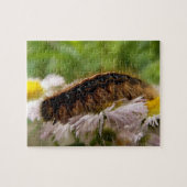 Raupe Puzzle (Horizontal)