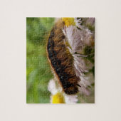 Raupe Puzzle (Vertikal)