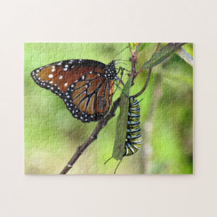 Raupe Queen Butterfly und Monarch Puzzle