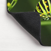 Raupe, Schmetterling, Dovetail Mousepad (Ecke)
