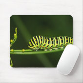 Raupe, Schmetterling, Dovetail Mousepad (Mit Mouse)