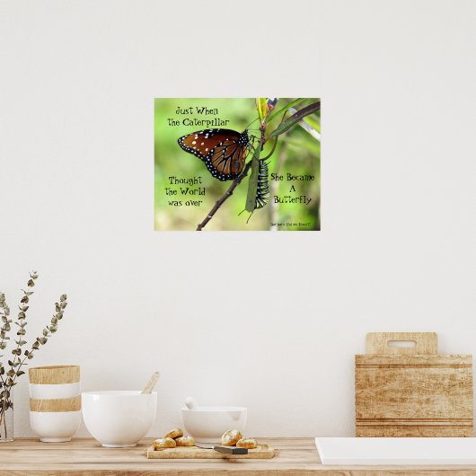 Raupe / Schmetterlingspreisposter Poster (Küche)