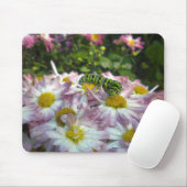 Raupe und Asters Mousepad (Mit Mouse)