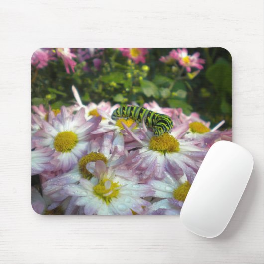 Raupe und Asters Mousepad (Mit Mouse)