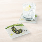 Raupe Untersetzer (Schrägansicht)