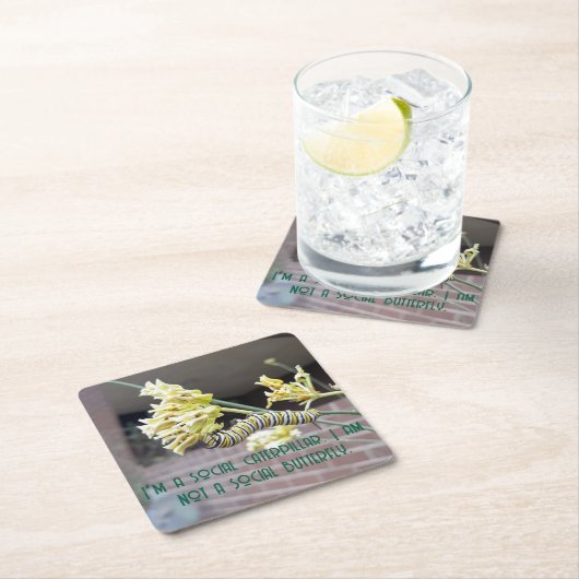 Raupe Untersetzer (Vor Ort)