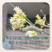 Raupe Untersetzer (Vorderseite)