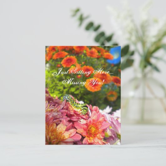 Raupe Vermisst Postkarte (Stehend Vorderseite)