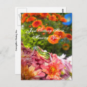 Raupe Vermisst Postkarte (Vorne/Hinten)