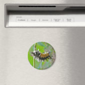 Raupen der Milkweed Tussock Moth Magnet (In Situ (Geschirrspüler))