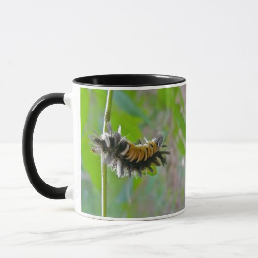 Raupen der Milkweed Tussock Moth Tasse (Links)