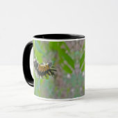 Raupen der Milkweed Tussock Moth Tasse (Vorderseite Links)