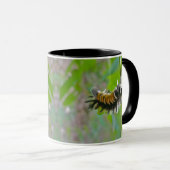 Raupen der Milkweed Tussock Moth Tasse (VorderseiteRechts)