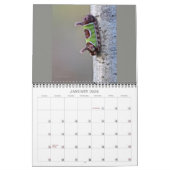 Raupen Kalender (Jan 2026)