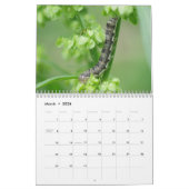 Raupen! Kalender (Mär 2026)