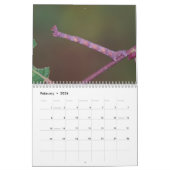 Raupen! Kalender (Feb 2026)