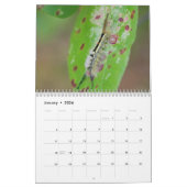 Raupen! Kalender (Jan 2026)