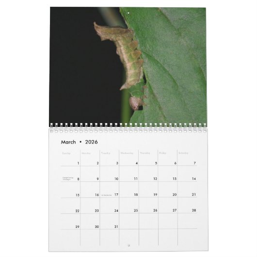 Raupen-Kalender Kalender (Mär 2026)