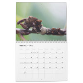 Raupen-Kalender Kalender (Feb 2027)