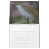 Raupen-Kalender Kalender (Jan 2027)