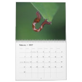 Raupen-Kalender Kalender (Feb 2027)