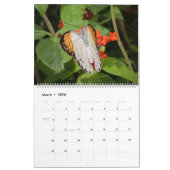 Raupen und Butterfliegen Kalender (Mär 2026)