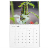 Raupen und Butterfliegen Kalender (Jan 2026)