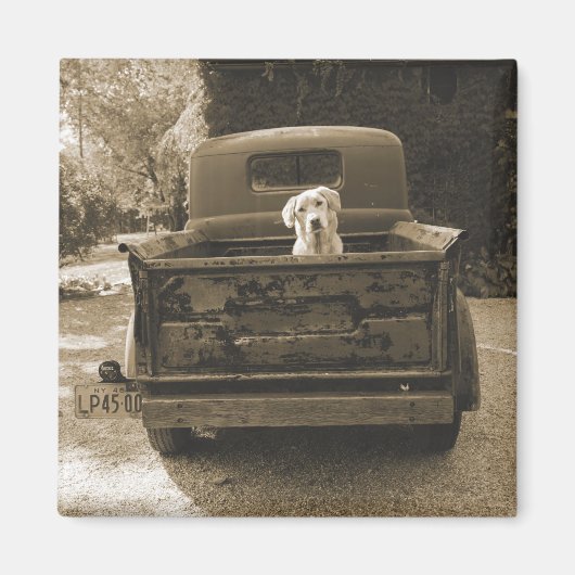 Raus aus dem Dodge - Hundfoto Magnet (Vorne)