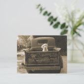 Raus aus dem Dodge - Hundfoto Postkarte (Stehend Vorderseite)