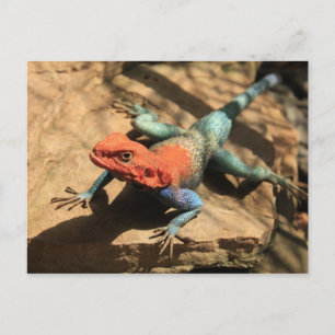 Raus aus meinem Weg Postkarte