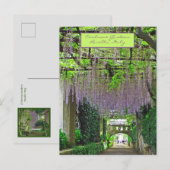 RAVELLO, ITALIEN/CIMBRONE GARTEN/CASCACADE WISTERI POSTKARTE (Vorne/Hinten)
