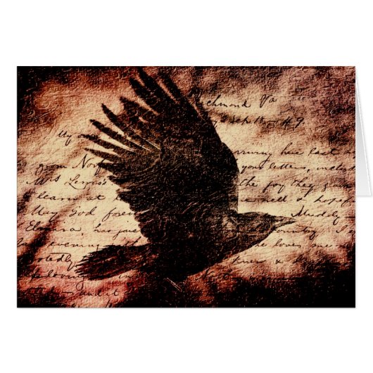 Raven 7 (Vorderseite (Horizontal))