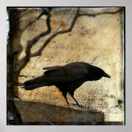 Raven Art Poster (Vorne)