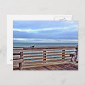 Raven auf der Jennette Pier obx North Carolina Postkarte (Vorne/Hinten)
