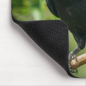 Raven auf einem Baumzweig Mousepad (Ecke)