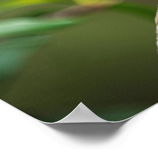 Raven auf einem Baumzweig Poster (Ecke)