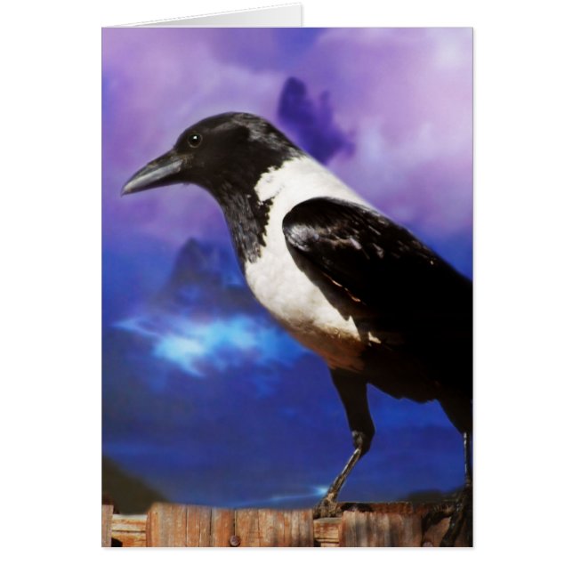 Raven auf einem Zaun (Vorne)
