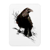 Raven Bird Art Collection Magnet (Vertikal)