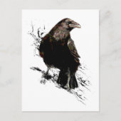 Raven Bird Art Collection Postkarte (Vorderseite)