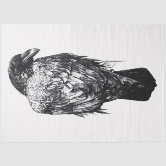 Raven Black und White Decoupage Seidenpapier (Vorderseite)