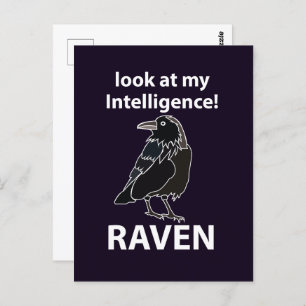 Raven Blick auf meine Intelligenz Raven Postkarte