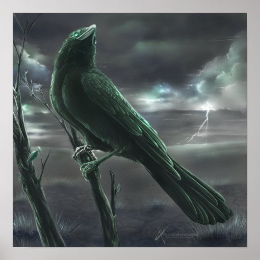 Raven Bot Poster (Vorne)